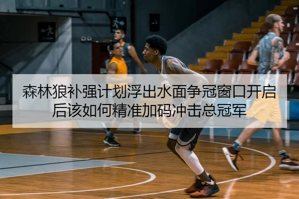 森林狼补强计划浮出水面争冠窗口开启后该如何精准加码冲击总冠军